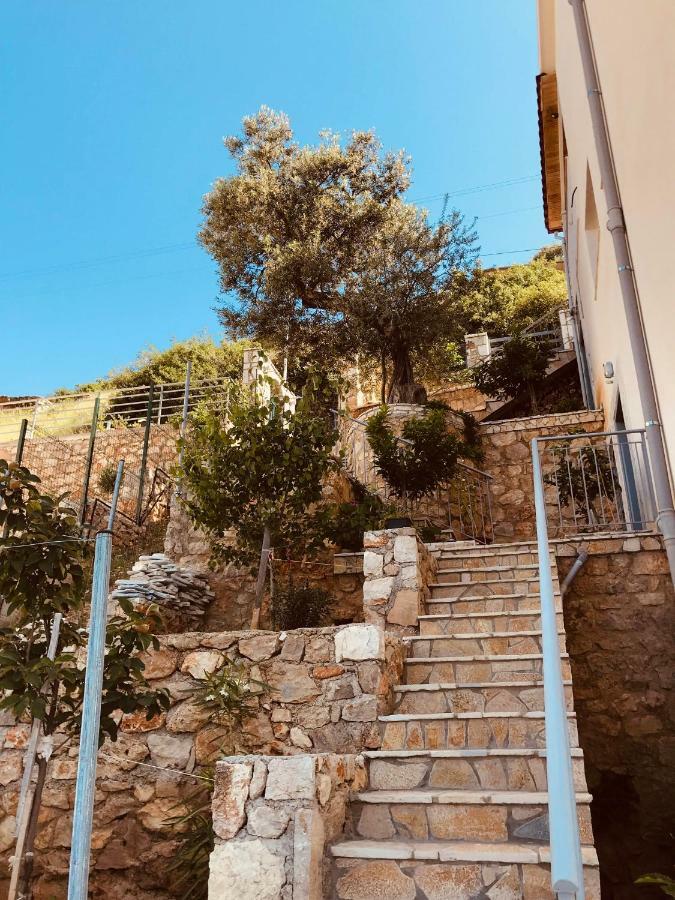 Apartament Vila Milo Vuno Zewnętrze zdjęcie
